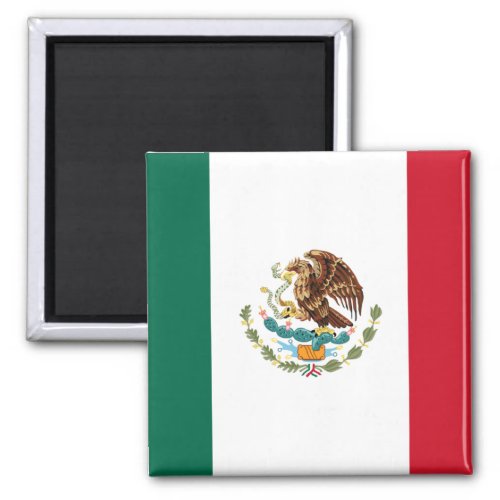 Mexico Flag Magnet 2
