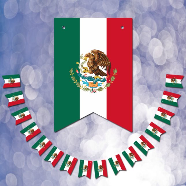 Mexico Flag & Party Mexican Banners / Weddings (Creator Uploaded)