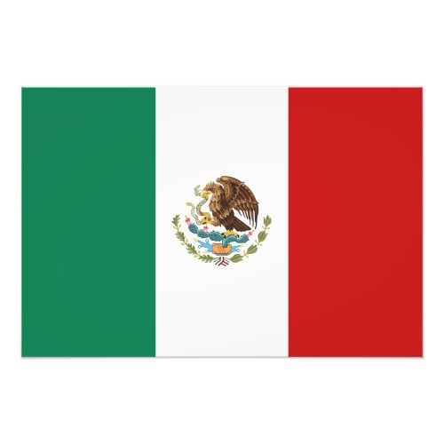 Mexico Flag Photo Print