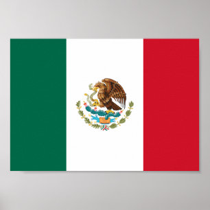 Mexico Flag Poster