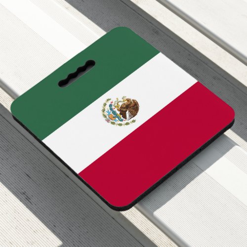 Mexico flag seat cushion