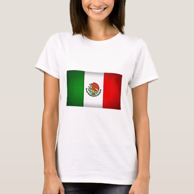 Mexico Flag Stylized T-Shirt (Front)
