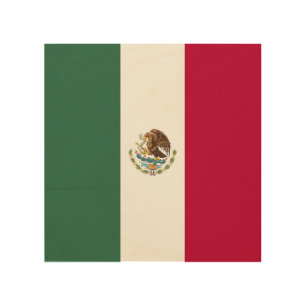 Mexico flag wood wall art