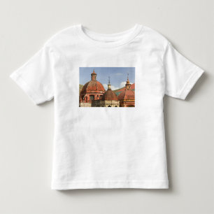 Mexico, Guanajuato State, Guanajuato. Templo de Toddler T-shirt