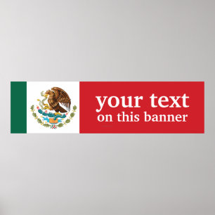 Mexico Plain Flag Poster