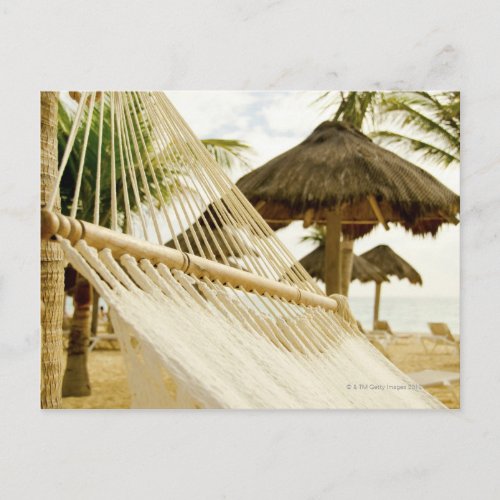 Mexico Playa Del Carmen hammock on beach Postcard