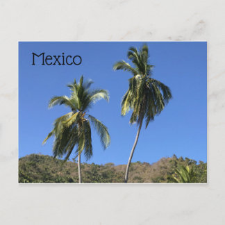 Mexico Post Card