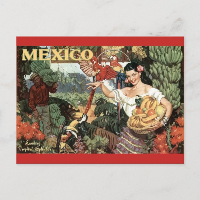 Mexico Postcard (Front)