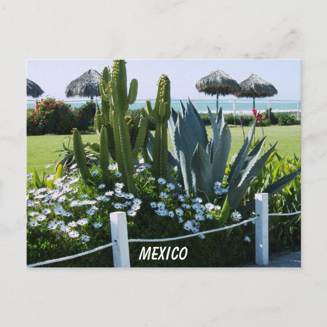 MEXICO POSTCARD (Front)