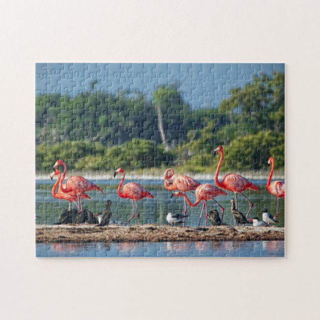 Mexico Rio Lagartos Jigsaw Puzzle (Horizontal)