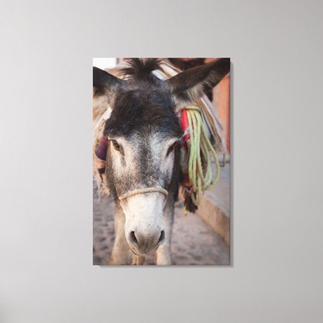 Mexico, San Miguel De Allende 2 Canvas Print (Front)