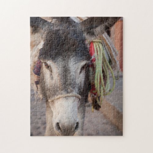 Mexico San Miguel De Allende 2 Jigsaw Puzzle