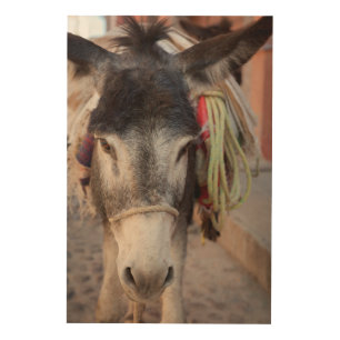 Mexico, San Miguel De Allende 2 Wood Wall Decor