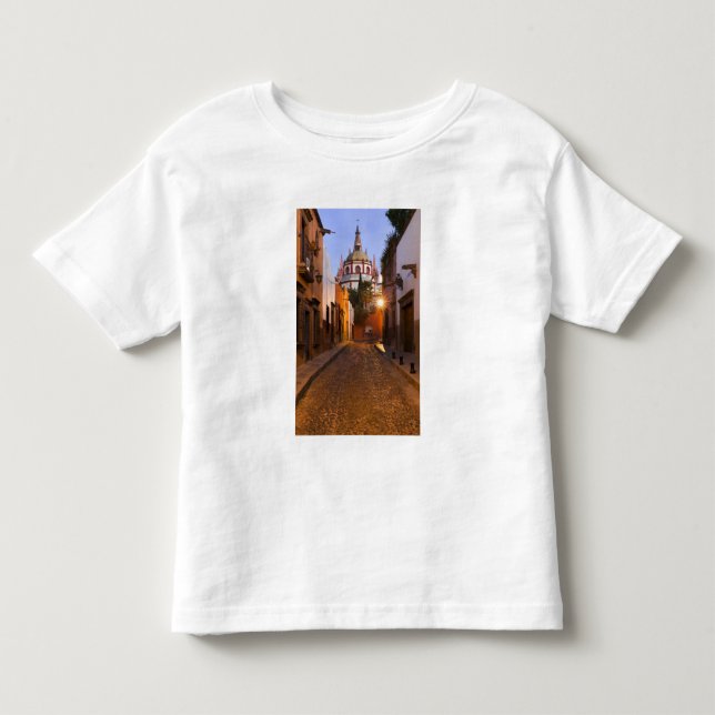 Mexico, San Miguel de Allende. Early morning Toddler T-shirt (Front)