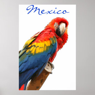 Mexico Scarlet Macaw Poster