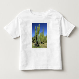 Mexico, Sonora, San Carlos. Saguaro & Organ Pipe Toddler T-shirt