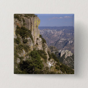 Mexico, State of Chihuahua, Copper Canyon. THIS 2 Button