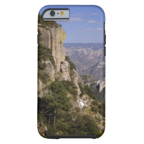 Mexico State of Chihuahua Copper Canyon THIS 2 Tough iPhone 6 Case