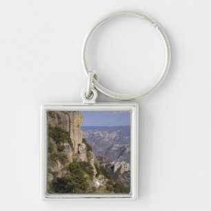 Mexico, State of Chihuahua, Copper Canyon. THIS 2 Keychain