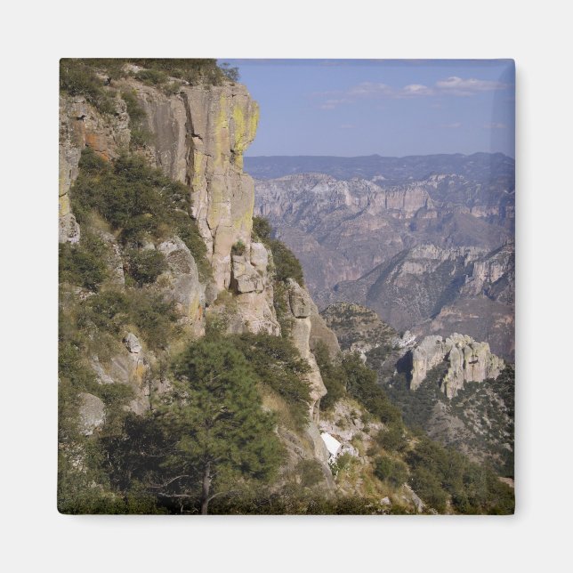 Mexico, State of Chihuahua, Copper Canyon. THIS 2 Magnet (Front)