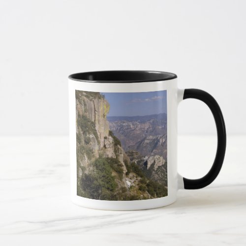 Mexico State of Chihuahua Copper Canyon THIS 2 Mug