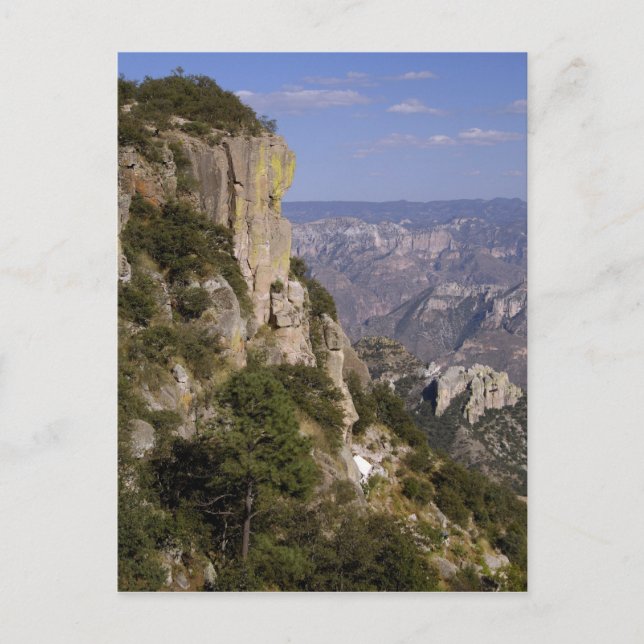 Mexico, State of Chihuahua, Copper Canyon. THIS 2 Postcard (Front)