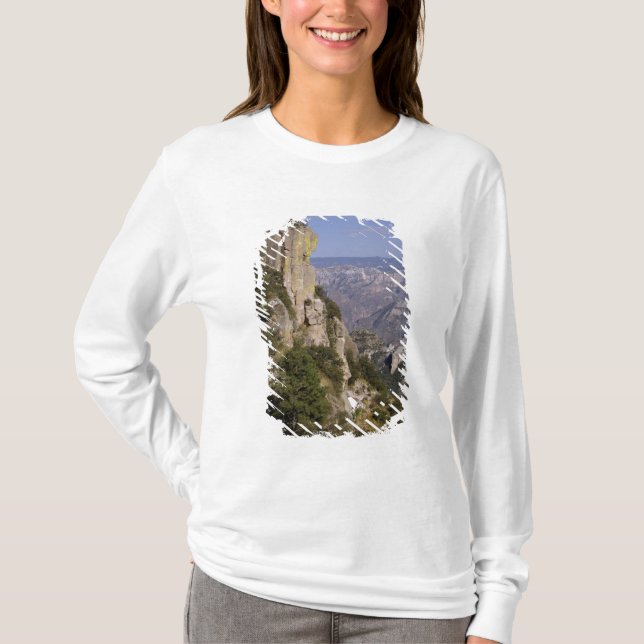 Mexico, State of Chihuahua, Copper Canyon. THIS 2 T-Shirt (Front)