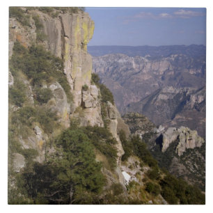 Mexico, State of Chihuahua, Copper Canyon. THIS 2 Tile