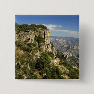 Mexico, State of Chihuahua, Copper Canyon. THIS Button