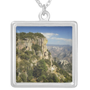 Mexico, State of Chihuahua, Copper Canyon. THIS Silver Plated Necklace