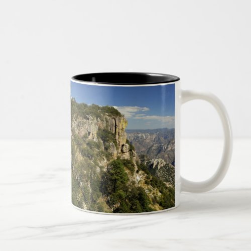 Mexico State of Chihuahua Copper Canyon THIS Two_Tone Coffee Mug