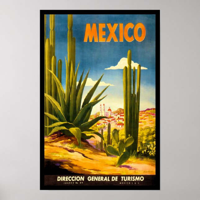 Mexico Travel Poster (Front)