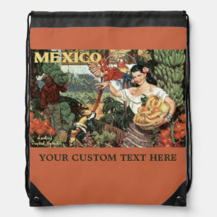 Mexico vintage travel bags