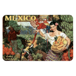 Mexico vintage travel magnet