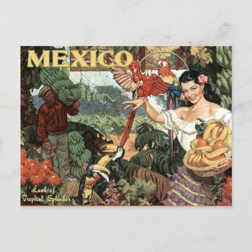 Mexico vintage travel postcard