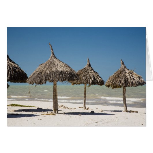 Mexico, Yucatan Peninsula, Progreso. Thatch Cards (Front Horizontal)