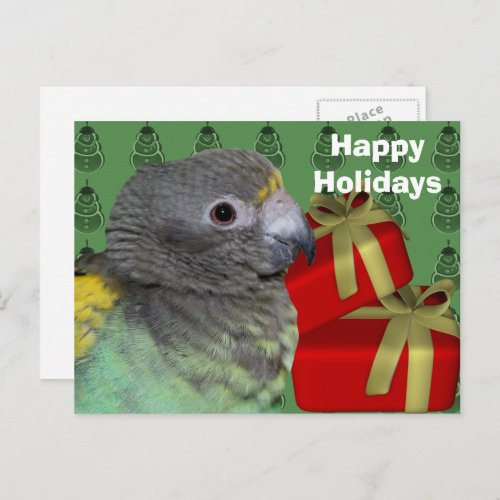 Meyers Parrot Christmas Holiday Postcard