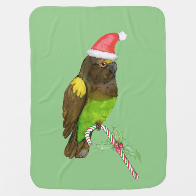  Meyer's parrot Christmas style Baby Blanket (Front)