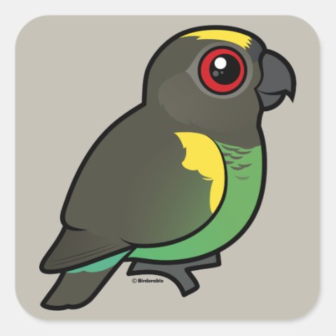 Cute Birdorable Meyer's Parrot Square Sticker