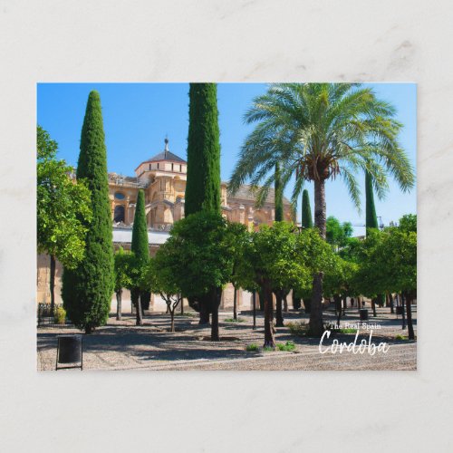 Mezquita Catedral de Crdoba _The Real Spain Postcard