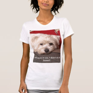 _MG_3718, Whatever it was, I didn't do it honest! T-Shirt