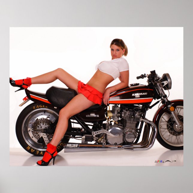 _MG_7804a  Cassie & The Z1 Poster (Front)