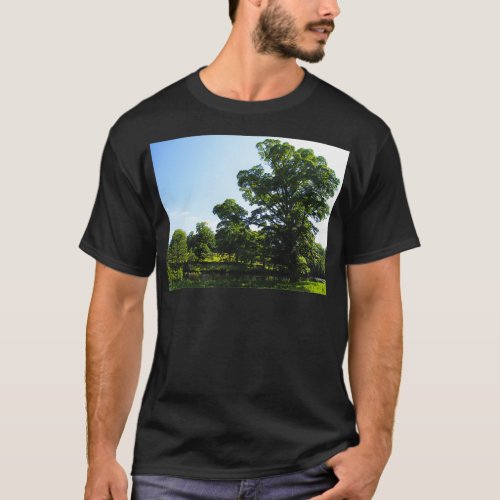 MI 89 Stream Between Trees Shot 1 Hadrians Wall T_Shirt