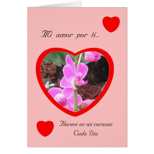 MI amor Por ti San Valentin Cards (Front)
