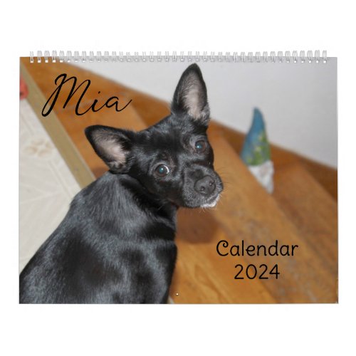 Mia Chihuahua Dog 2024 Calendar