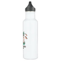 Nautica Anchor 24-fl oz Stainless Steel Insulated Water Bottle at