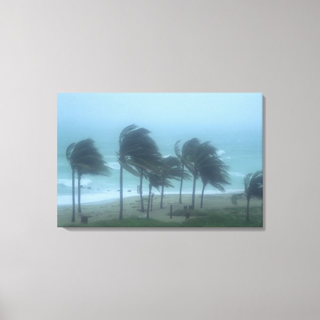 Miami Beach, Florida, hurricane winds lashing Canvas Print (Front)
