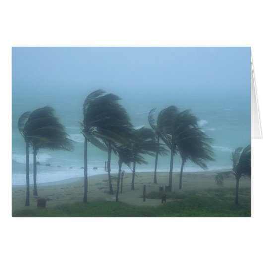 Miami Beach, Florida, hurricane winds lashing Cards (Front Horizontal)