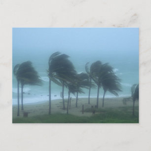 Miami Beach, Florida, hurricane winds lashing Postcard