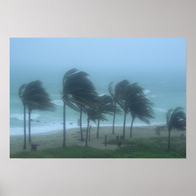 Miami Beach, Florida, hurricane winds lashing Poster (Front)